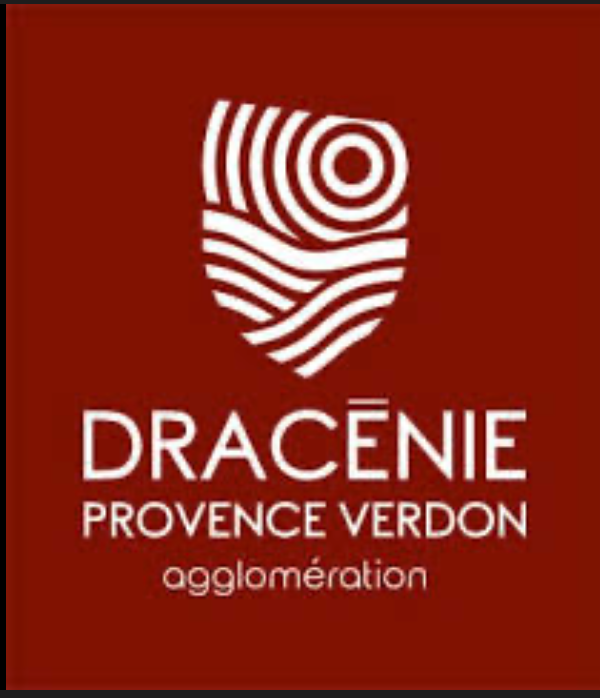 Dracénie